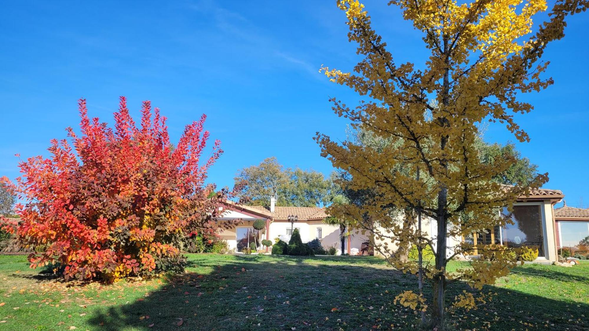 Le Clos Castel - Gite Equipe Casteljaloux Exterior foto