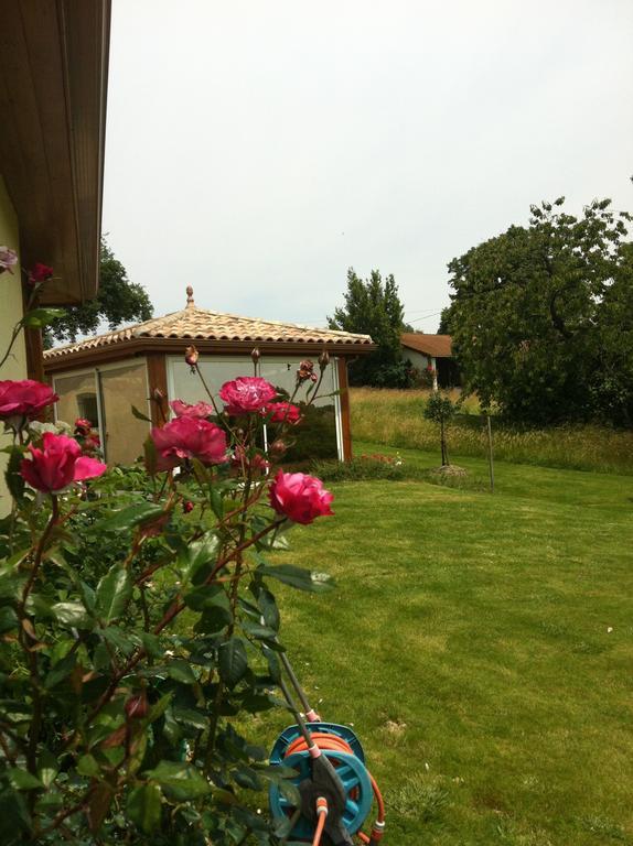 Le Clos Castel - Gite Equipe Casteljaloux Exterior foto